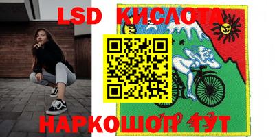 гидропоника Будённовск