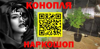 гидропоника Будённовск
