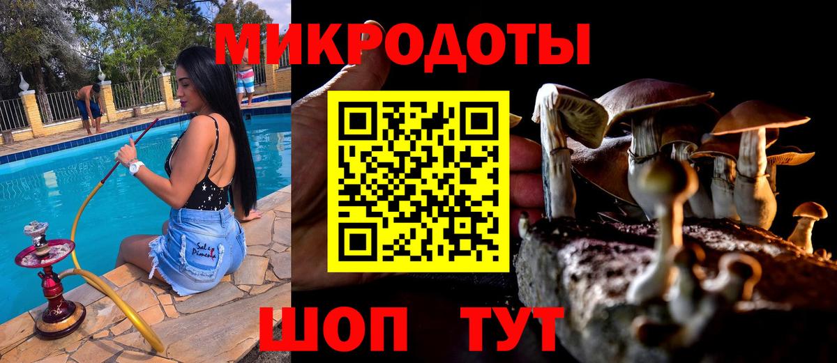 Псилоцибиновые грибы прущие грибы Сарапул